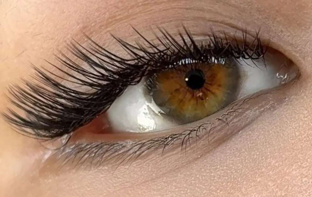 Cover Video ProLash